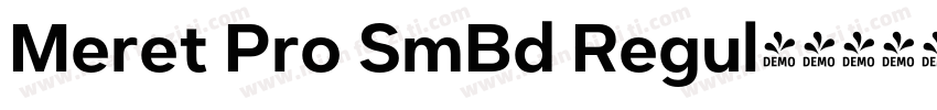 Meret Pro SmBd Regul字体转换